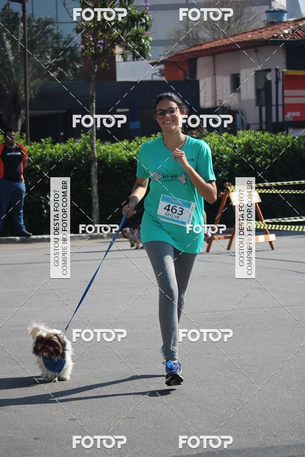 Buy your photos of the event2 Pet Run Shopping Eldorado  on Fotop