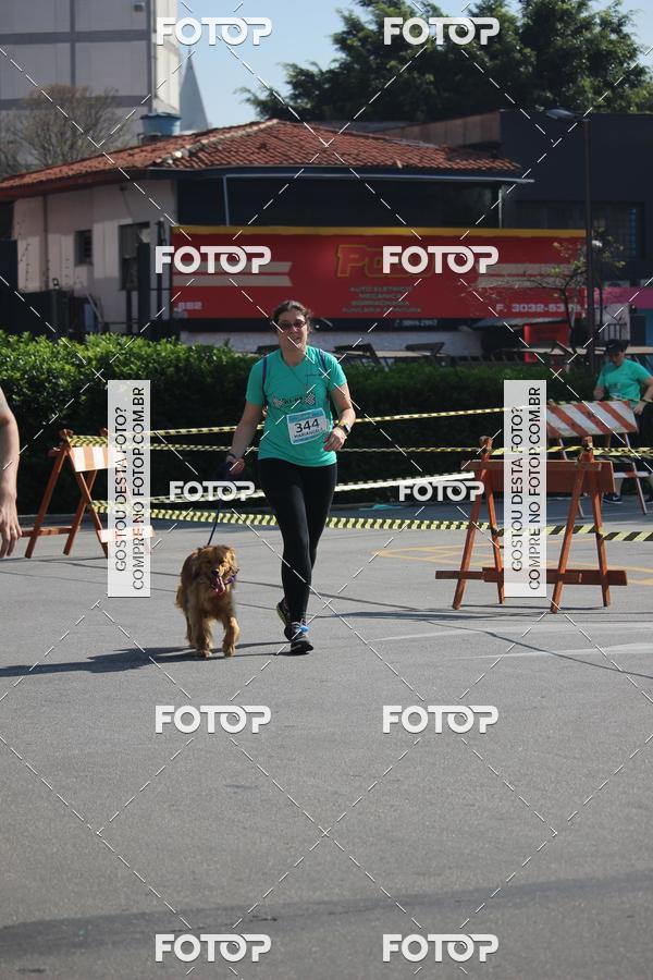 Buy your photos of the event2 Pet Run Shopping Eldorado  on Fotop