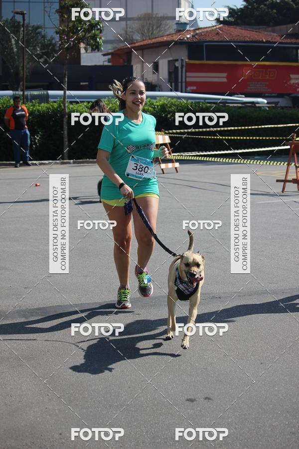 Buy your photos of the event2 Pet Run Shopping Eldorado  on Fotop