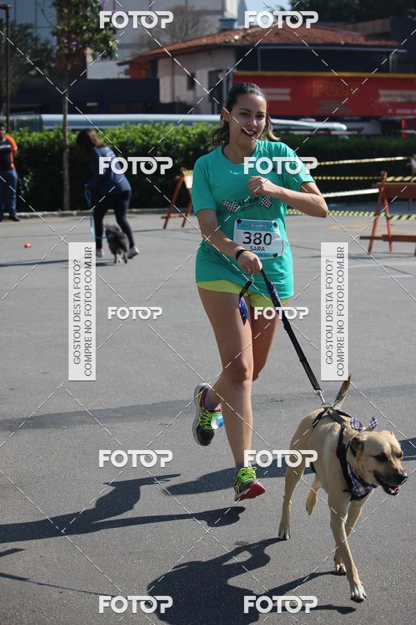 Buy your photos of the event2 Pet Run Shopping Eldorado  on Fotop