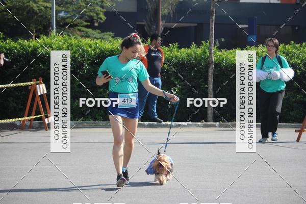 Buy your photos of the event2 Pet Run Shopping Eldorado  on Fotop