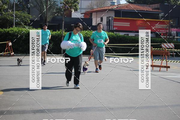 Buy your photos of the event2 Pet Run Shopping Eldorado  on Fotop