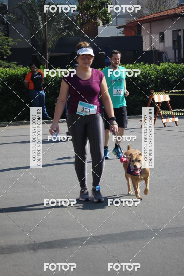Buy your photos of the event2 Pet Run Shopping Eldorado  on Fotop