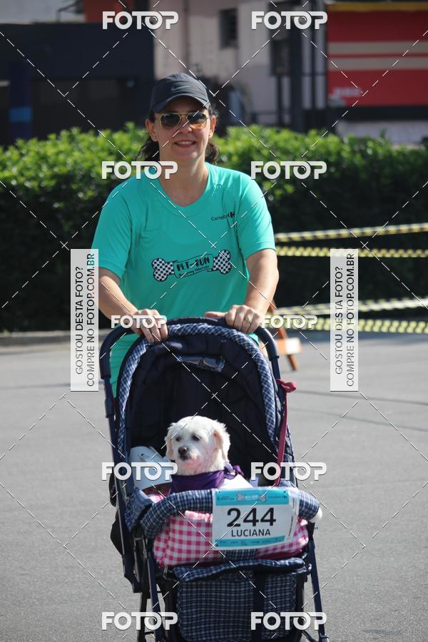 Buy your photos of the event2 Pet Run Shopping Eldorado  on Fotop