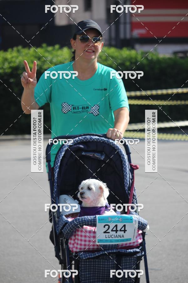 Buy your photos of the event2 Pet Run Shopping Eldorado  on Fotop