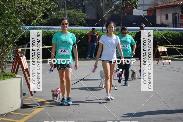 Buy your photos of the event2 Pet Run Shopping Eldorado  on Fotop