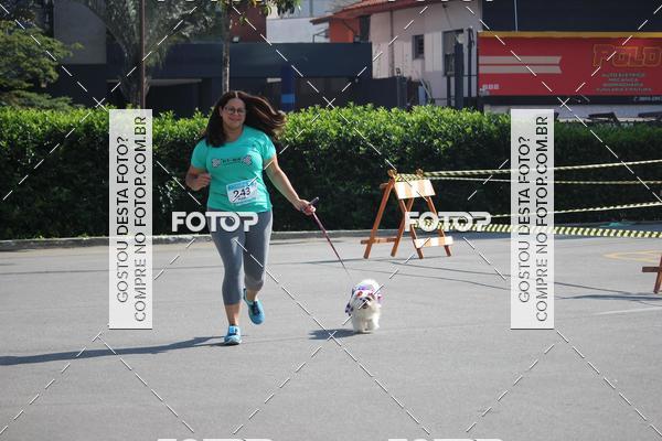 Buy your photos of the event2 Pet Run Shopping Eldorado  on Fotop