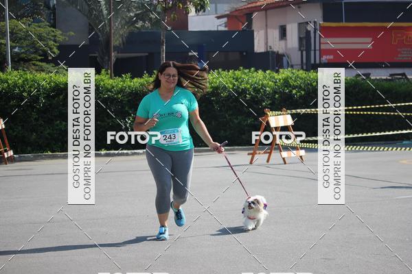 Buy your photos of the event2 Pet Run Shopping Eldorado  on Fotop