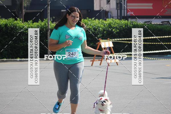 Buy your photos of the event2 Pet Run Shopping Eldorado  on Fotop