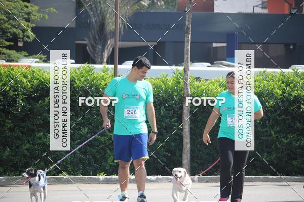 Buy your photos of the event2 Pet Run Shopping Eldorado  on Fotop