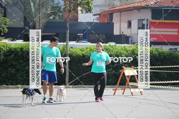 Buy your photos of the event2 Pet Run Shopping Eldorado  on Fotop