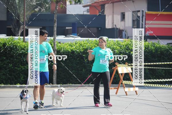 Buy your photos of the event2 Pet Run Shopping Eldorado  on Fotop