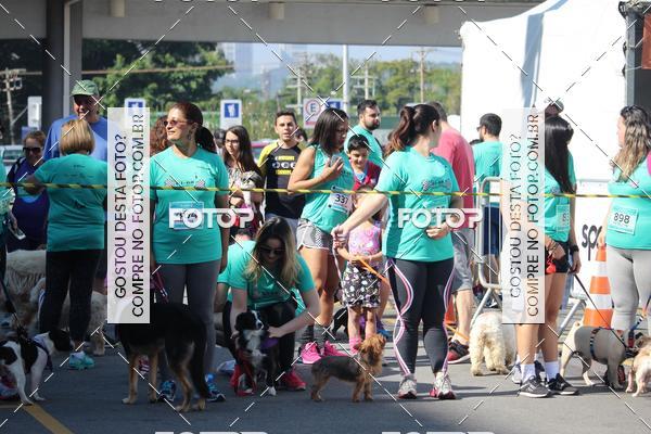 Buy your photos of the event2 Pet Run Shopping Eldorado  on Fotop