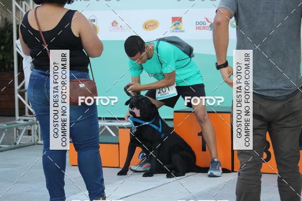 Buy your photos of the event2 Pet Run Shopping Eldorado  on Fotop