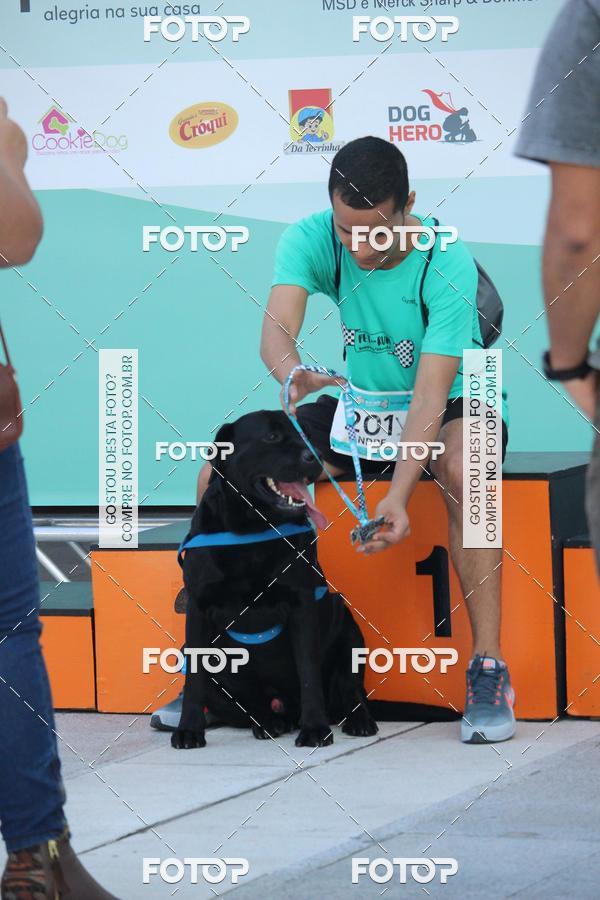 Buy your photos of the event2 Pet Run Shopping Eldorado  on Fotop
