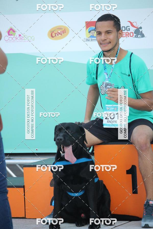 Buy your photos of the event2 Pet Run Shopping Eldorado  on Fotop