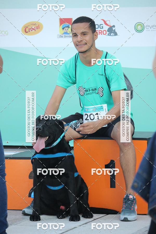 Buy your photos of the event2 Pet Run Shopping Eldorado  on Fotop