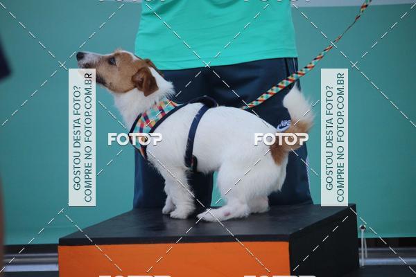Buy your photos of the event2 Pet Run Shopping Eldorado  on Fotop