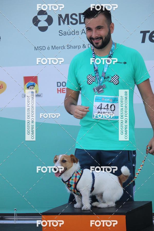 Buy your photos of the event2 Pet Run Shopping Eldorado  on Fotop