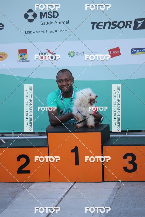 Buy your photos of the event2 Pet Run Shopping Eldorado  on Fotop