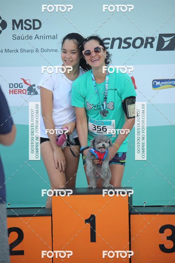 Buy your photos of the event2 Pet Run Shopping Eldorado  on Fotop