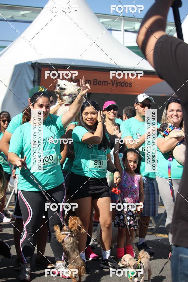 Buy your photos of the event2 Pet Run Shopping Eldorado  on Fotop