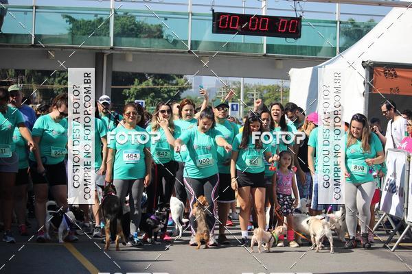 Buy your photos of the event2 Pet Run Shopping Eldorado  on Fotop