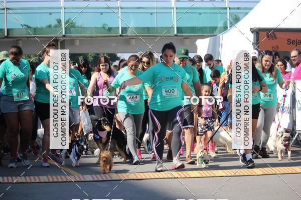 Buy your photos of the event2 Pet Run Shopping Eldorado  on Fotop