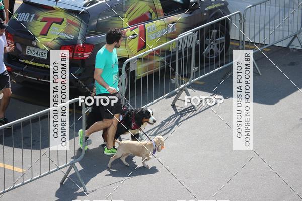 Buy your photos of the event2 Pet Run Shopping Eldorado  on Fotop