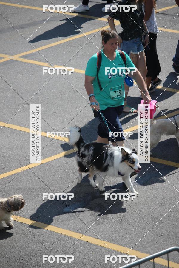 Buy your photos of the event2 Pet Run Shopping Eldorado  on Fotop