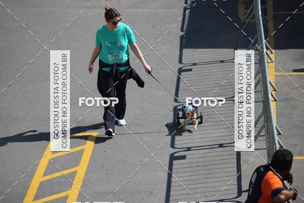 Buy your photos of the event2 Pet Run Shopping Eldorado  on Fotop