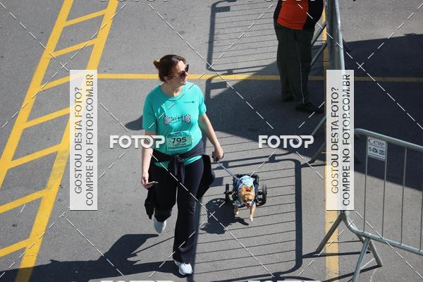 Buy your photos of the event2 Pet Run Shopping Eldorado  on Fotop