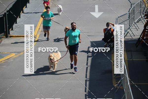 Buy your photos of the event2 Pet Run Shopping Eldorado  on Fotop