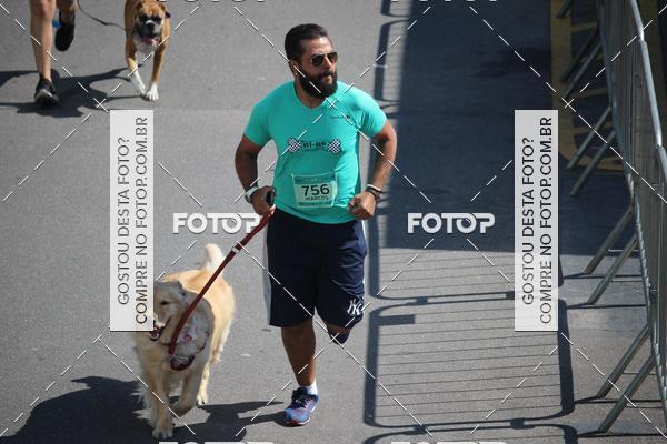 Buy your photos of the event2 Pet Run Shopping Eldorado  on Fotop