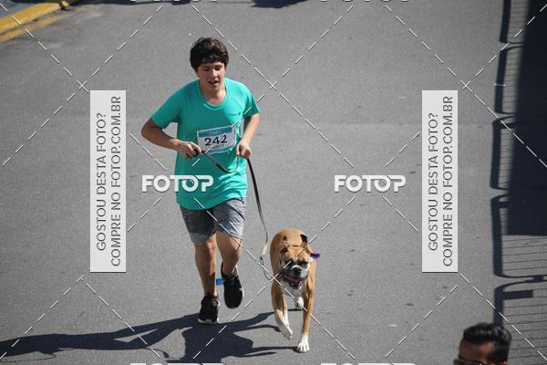 Buy your photos of the event2 Pet Run Shopping Eldorado  on Fotop