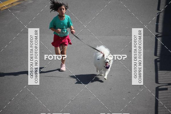 Buy your photos of the event2 Pet Run Shopping Eldorado  on Fotop