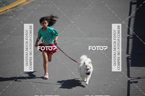 Buy your photos of the event2 Pet Run Shopping Eldorado  on Fotop