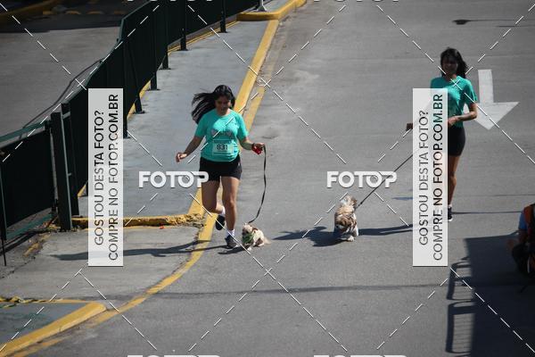 Buy your photos of the event2 Pet Run Shopping Eldorado  on Fotop