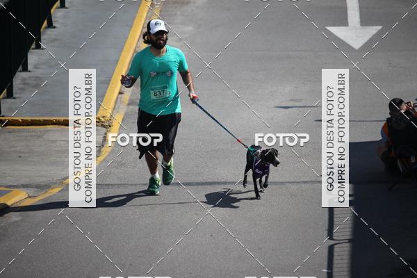 Buy your photos of the event2 Pet Run Shopping Eldorado  on Fotop