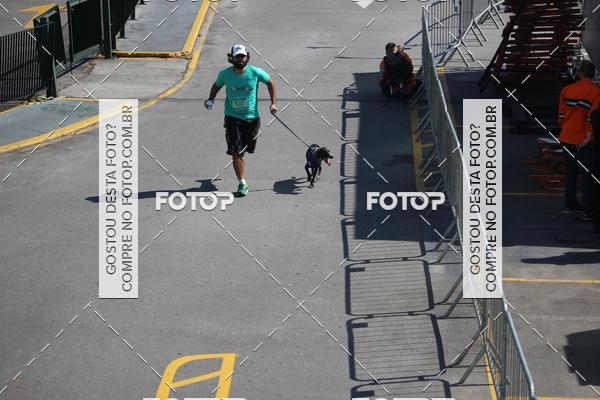 Buy your photos of the event2 Pet Run Shopping Eldorado  on Fotop
