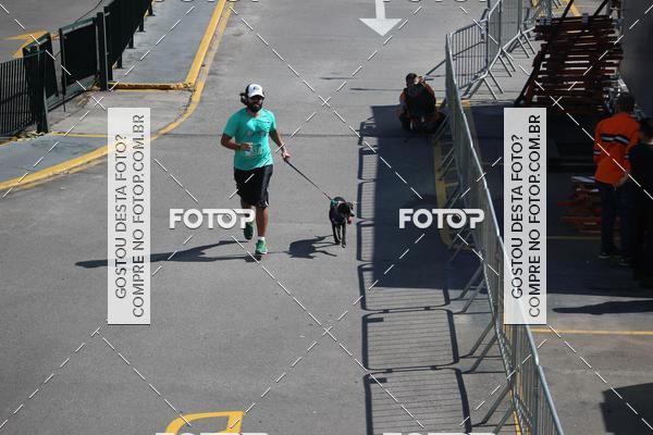 Buy your photos of the event2 Pet Run Shopping Eldorado  on Fotop
