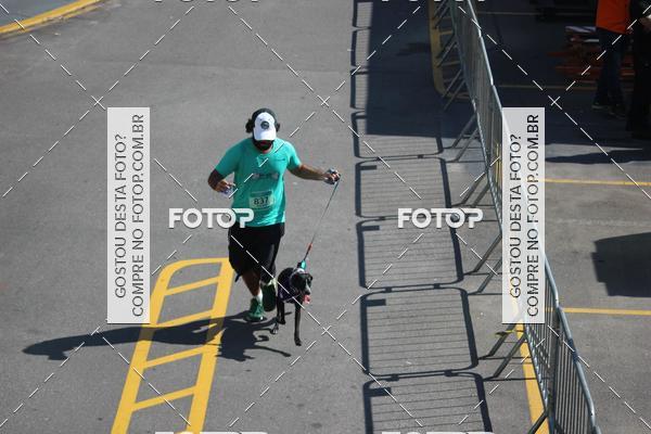 Buy your photos of the event2 Pet Run Shopping Eldorado  on Fotop