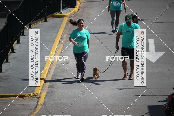 Buy your photos of the event2 Pet Run Shopping Eldorado  on Fotop