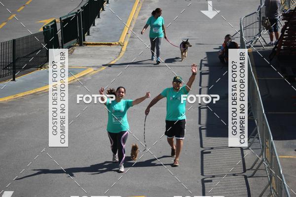 Buy your photos of the event2 Pet Run Shopping Eldorado  on Fotop