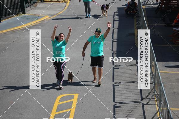 Buy your photos of the event2 Pet Run Shopping Eldorado  on Fotop