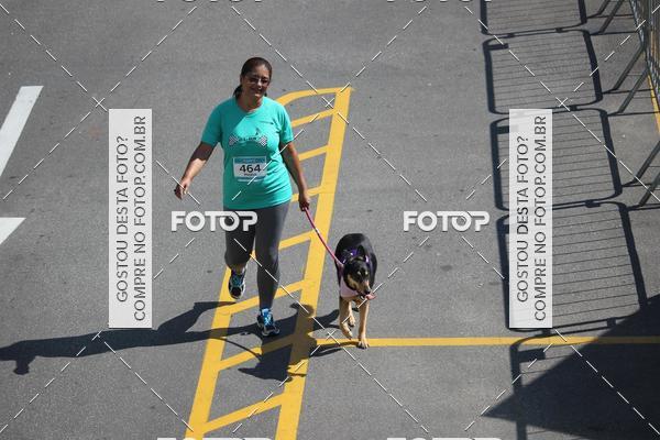 Buy your photos of the event2 Pet Run Shopping Eldorado  on Fotop