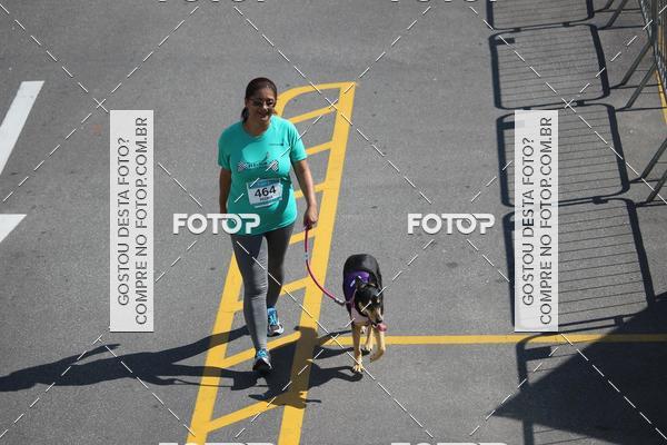 Buy your photos of the event2 Pet Run Shopping Eldorado  on Fotop