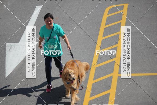 Buy your photos of the event2 Pet Run Shopping Eldorado  on Fotop
