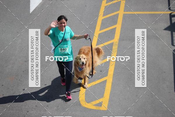 Buy your photos of the event2 Pet Run Shopping Eldorado  on Fotop
