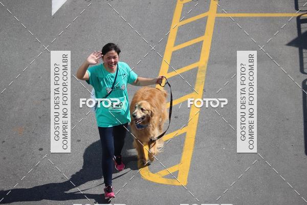 Buy your photos of the event2 Pet Run Shopping Eldorado  on Fotop